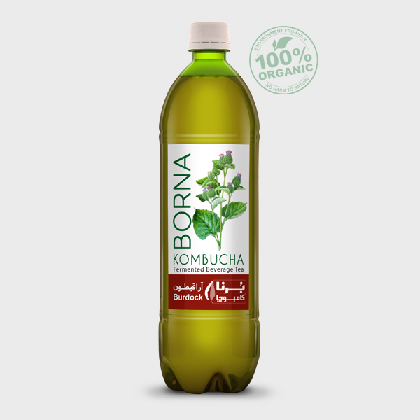 کامبوچا آراقیطون کاهش غلظت خون