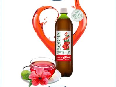 کاتولوگ کامبوچا چای ترش